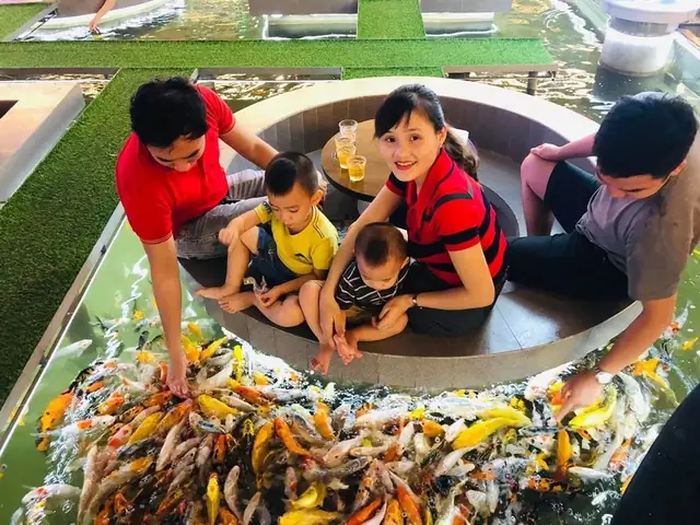 Cà Phê Cá Koi Quận 12 – Địa Chỉ Đáng Thử Cho Người Yêu Thích Không Gian Độc Đáo Và Hương Vị Chất Lượng