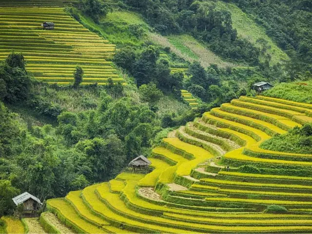 Cảnh Đẹp Núi Rừng Tây Bắc: Hành Trình Khám Phá Thiên Nhiên Hùng Vĩ Cảnh Đẹp Núi Rừng Tây Bắc: Hành Trình Khám Phá Thiên Nhiên Hùng Vĩ