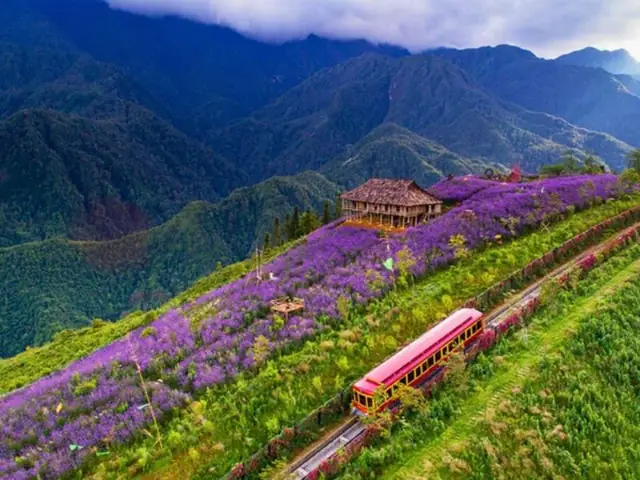 Cảnh Đẹp Núi Rừng Tây Bắc: Hành Trình Khám Phá Thiên Nhiên Hùng Vĩ Cảnh Đẹp Núi Rừng Tây Bắc: Hành Trình Khám Phá Thiên Nhiên Hùng Vĩ
