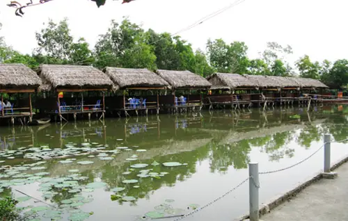 Câu Cá Giải Trí Xuân Hương: Hướng Dẫn Toàn Diện Cho Người Mới Bắt Đầu Câu Cá Giải Trí Xuân Hương: Hướng Dẫn Toàn Diện Cho Người Mới Bắt Đầu