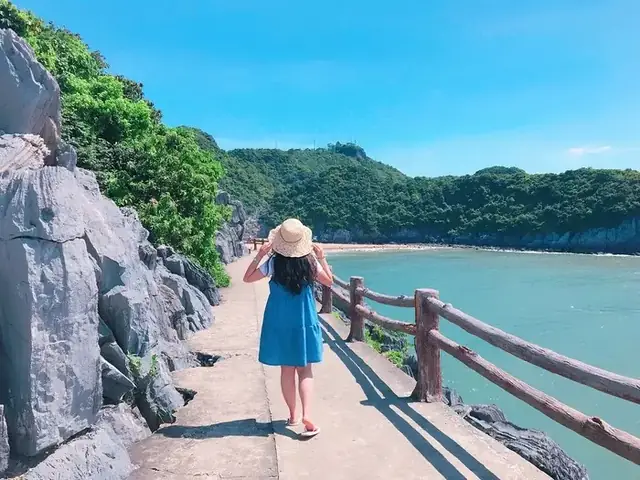 Du Lịch Cát Bà Tự Túc: Hướng Dẫn Chi Tiết Cho Chuyến Đi Du Lịch Cát Bà Tự Túc: Hướng Dẫn Chi Tiết Cho Chuyến Đi