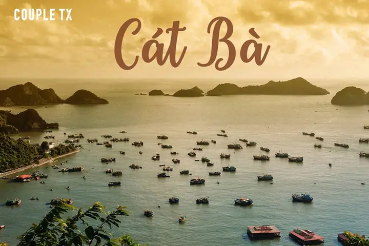 Du Lịch Cát Bà Tự Túc: Hướng Dẫn Chi Tiết Cho Chuyến Đi Du Lịch Cát Bà Tự Túc: Hướng Dẫn Chi Tiết Cho Chuyến Đi