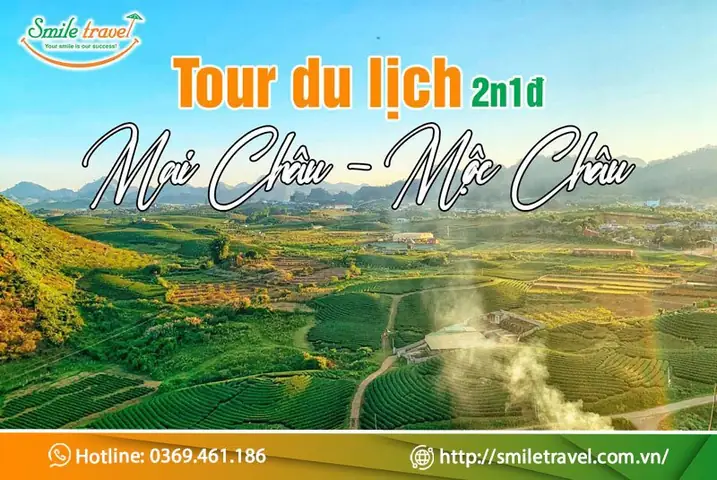 Du Lịch Mộc Châu Giá Rẻ: Hướng Dẫn Chi Tiết Để Khám Phá Vùng Đất Xanh Mát Mà Không Lo Ví Tiền