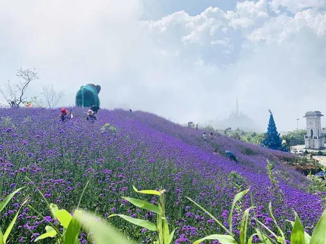 Du Lịch Sapa Mùa Nào Đẹp: Hướng Dẫn Chi Tiết Cho Chuyến Đi Mùa Xuân, Hè, Thu Và Đông Du Lịch Sapa Mùa Nào Đẹp: Hướng Dẫn Chi Tiết Cho Chuyến Đi Mùa Xuân, Hè, Thu Và Đông