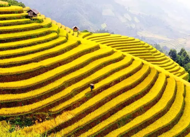 Du Lịch Sapa Mùa Nào Đẹp: Hướng Dẫn Chi Tiết Cho Chuyến Đi Mùa Xuân, Hè, Thu Và Đông Du Lịch Sapa Mùa Nào Đẹp: Hướng Dẫn Chi Tiết Cho Chuyến Đi Mùa Xuân, Hè, Thu Và Đông