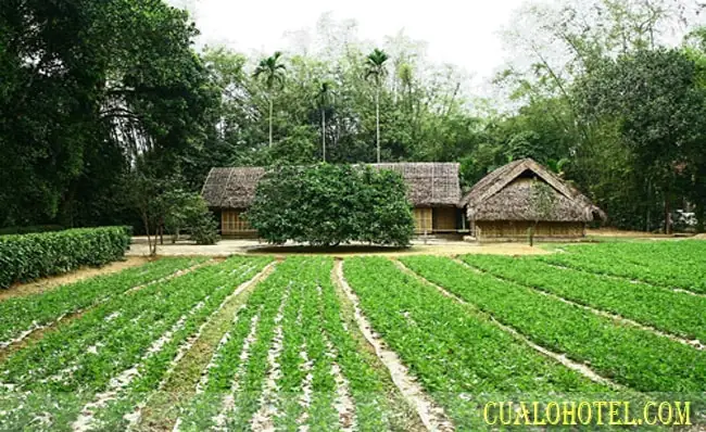 Hình Ảnh Quê Nội Bác Hồ: Cái Nhìn Toàn Diện Về Nơi Sinh Ra Vị Lãnh Tụ Vĩ Đại