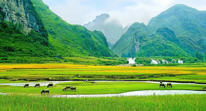 Hình Nền Phong Cảnh Việt Nam: Khám Phá Vẻ Đẹp Thiên Nhiên Và Cách Lựa Chọn Tối Ưu Cho Thiết Bị Của Bạn Hình Nền Phong Cảnh Việt Nam: Khám Phá Vẻ Đẹp Thiên Nhiên Và Cách Lựa Chọn Tối Ưu Cho Thiết Bị Của Bạn