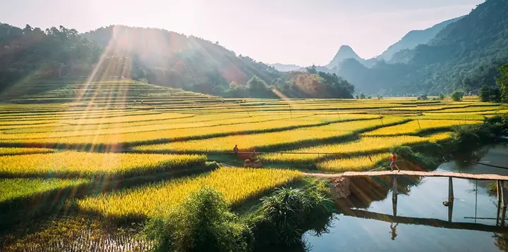 Hình Nền Phong Cảnh Việt Nam: Khám Phá Vẻ Đẹp Thiên Nhiên Và Cách Lựa Chọn Tối Ưu Cho Thiết Bị Của Bạn