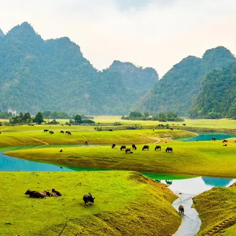 Hữu Liên Hữu Lũng Lạng Sơn: Giải Thích, Nguồn Gốc Và Cách Áp Dụng Trong Cuộc Sống Hữu Liên Hữu Lũng Lạng Sơn: Giải Thích, Nguồn Gốc Và Cách Áp Dụng Trong Cuộc Sống