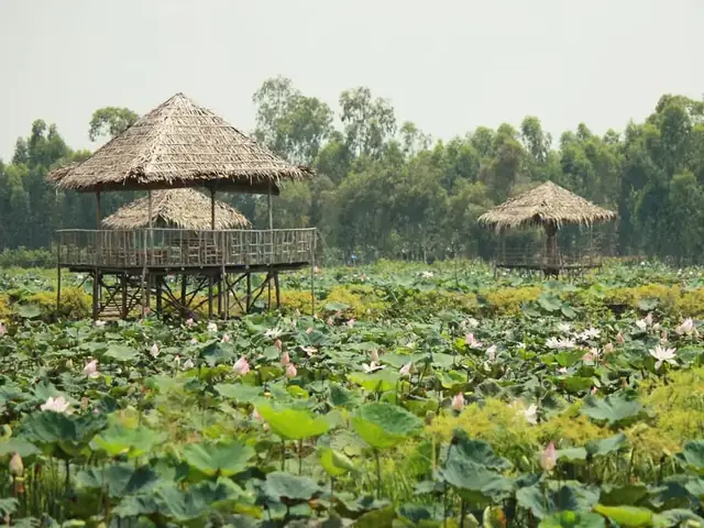 Khu Du Lịch Đồng Sen Tháp Mười – Hướng Dẫn Chi Tiết Cho Du Khách Khu Du Lịch Đồng Sen Tháp Mười – Hướng Dẫn Chi Tiết Cho Du Khách