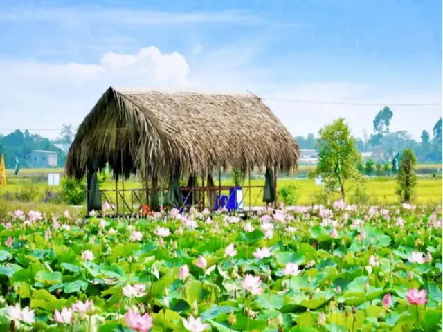 Khu Du Lịch Đồng Sen Tháp Mười – Hướng Dẫn Chi Tiết Cho Du Khách Khu Du Lịch Đồng Sen Tháp Mười – Hướng Dẫn Chi Tiết Cho Du Khách