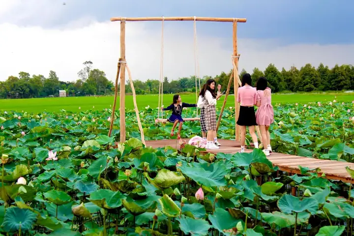 Khu Du Lịch Đồng Sen Tháp Mười – Hướng Dẫn Chi Tiết Cho Du Khách Khu Du Lịch Đồng Sen Tháp Mười – Hướng Dẫn Chi Tiết Cho Du Khách