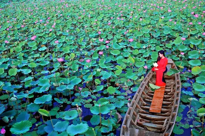 Khu Du Lịch Đồng Sen Tháp Mười – Hướng Dẫn Chi Tiết Cho Du Khách Khu Du Lịch Đồng Sen Tháp Mười – Hướng Dẫn Chi Tiết Cho Du Khách