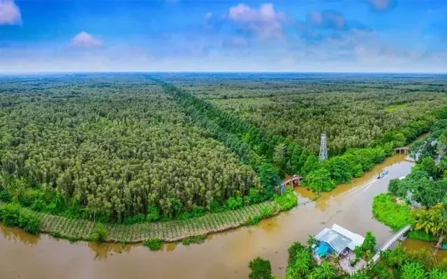 Khu Du Lịch Lung Ngọc Hoàng: Hướng Dẫn Chi Tiết Khám Phá Điểm Đến Hấp Dẫn