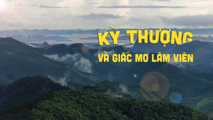 Kỳ Thượng Hoành Bồ Quảng Ninh: Tổng Quan Chi Tiết Về Địa Danh Và Nét Đặc Trưng