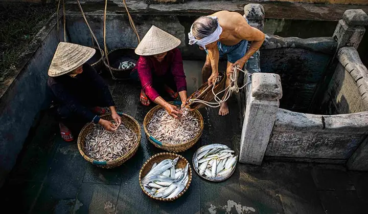 Làng Nghề Nước Mắm Nam Ô – Di Sản Ẩm Thực Truyền Thống Của Việt Nam
