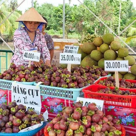 Lễ Hội Trái Cây Bình Dương – Giới Thiệu Toàn Diện Về Sự Kiện Văn Hoá Ẩm Thực Độc Đáo