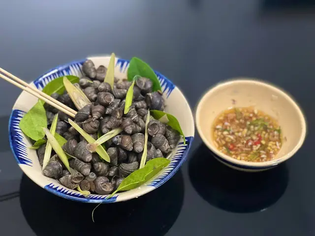 Luộc Ốc Bao Lâu Thì Chín? Hướng Dẫn Chi Tiết Thời Gian Chuẩn Luộc Ốc Bao Lâu Thì Chín? Hướng Dẫn Chi Tiết Thời Gian Chuẩn