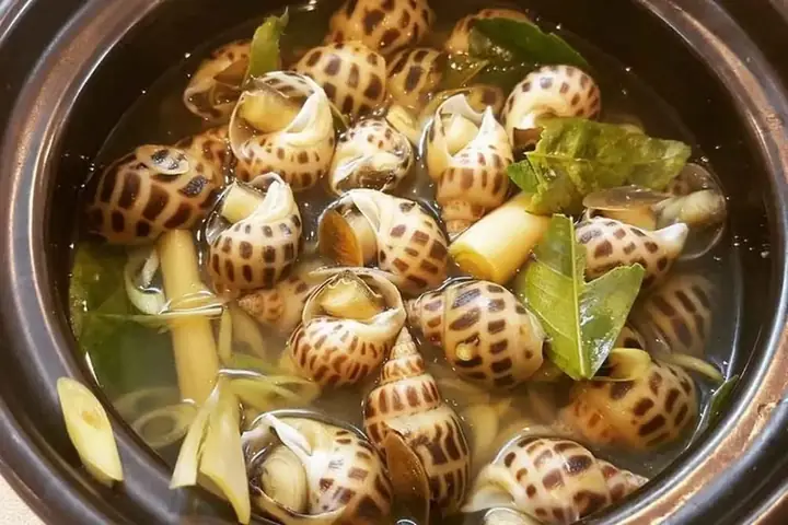 Luộc Ốc Bao Lâu Thì Chín? Hướng Dẫn Chi Tiết Thời Gian Chuẩn Luộc Ốc Bao Lâu Thì Chín? Hướng Dẫn Chi Tiết Thời Gian Chuẩn