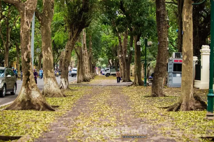 Phố Phan Đình Phùng Mùa Thu: Khám Phá Nét Đẹp Và Trải Nghiệm Thư Giãn