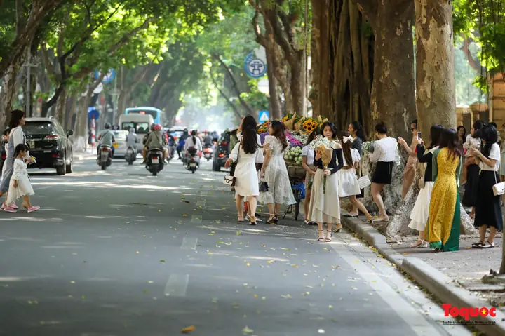 Phố Phan Đình Phùng Mùa Thu: Khám Phá Nét Đẹp Và Trải Nghiệm Thư Giãn Phố Phan Đình Phùng Mùa Thu: Khám Phá Nét Đẹp Và Trải Nghiệm Thư Giãn