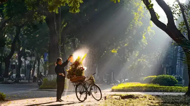 Phố Phan Đình Phùng Mùa Thu: Khám Phá Nét Đẹp Và Trải Nghiệm Thư Giãn Phố Phan Đình Phùng Mùa Thu: Khám Phá Nét Đẹp Và Trải Nghiệm Thư Giãn