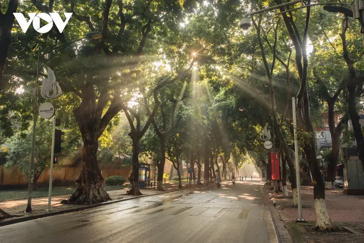 Phố Phan Đình Phùng Mùa Thu: Khám Phá Nét Đẹp Và Trải Nghiệm Thư Giãn Phố Phan Đình Phùng Mùa Thu: Khám Phá Nét Đẹp Và Trải Nghiệm Thư Giãn