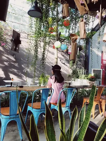Quán Cafe Đẹp Ở Bến Tre: Địa Điểm Thư Giãn Và Trải Nghiệm Vị Ngon Độc Đáo