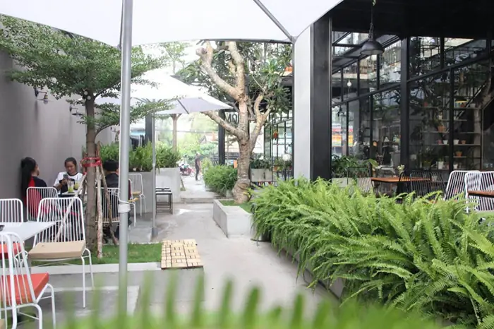 Quán Cafe Đẹp Ở Bến Tre: Địa Điểm Thư Giãn Và Trải Nghiệm Vị Ngon Độc Đáo