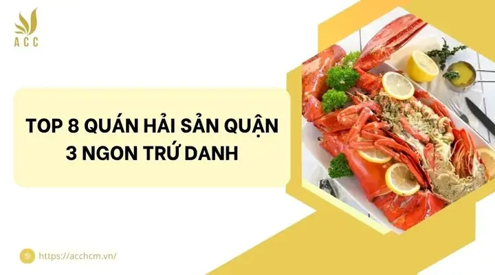 Quán Hải Sản Ngon Quận 3: Địa Chỉ Đáng Thử Cho Người Yêu Hải Sản Quán Hải Sản Ngon Quận 3: Địa Chỉ Đáng Thử Cho Người Yêu Hải Sản