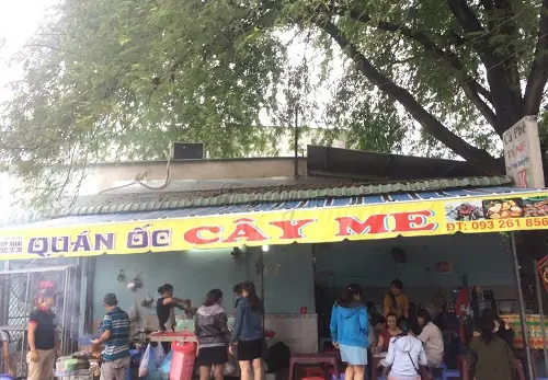 Quán Ốc Cây Me Gò Vấp – Địa Chỉ Ăn Ngon, Không Gian Độc Đáo Và Giá Cả Hợp Lý