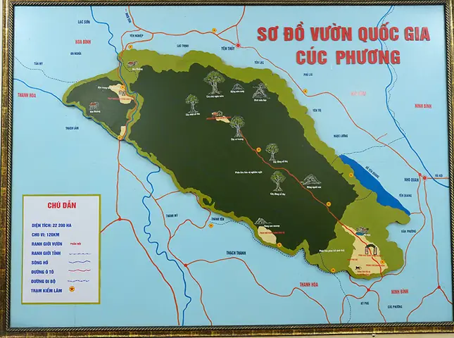 Rừng Cúc Phương Rộng Bao Nhiêu? – Tổng Quan Chi Tiết Về Diện Tích Và Tầm Quan Trọng