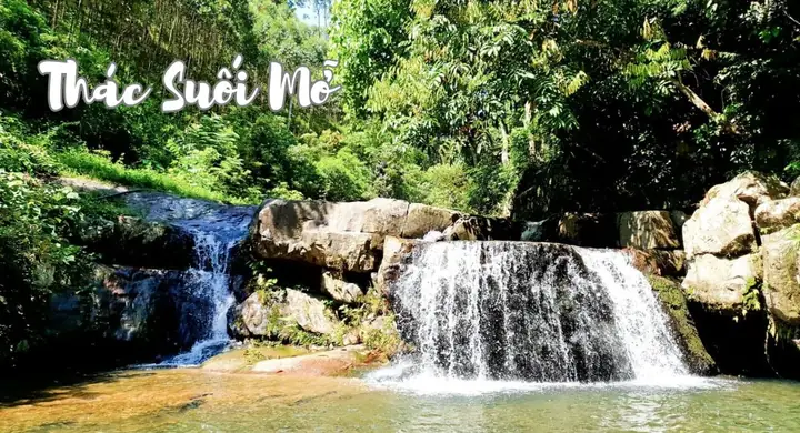 Suối Mỡ Bắc Giang Có Gì? Khám Phá Những Điểm Nổi Bật