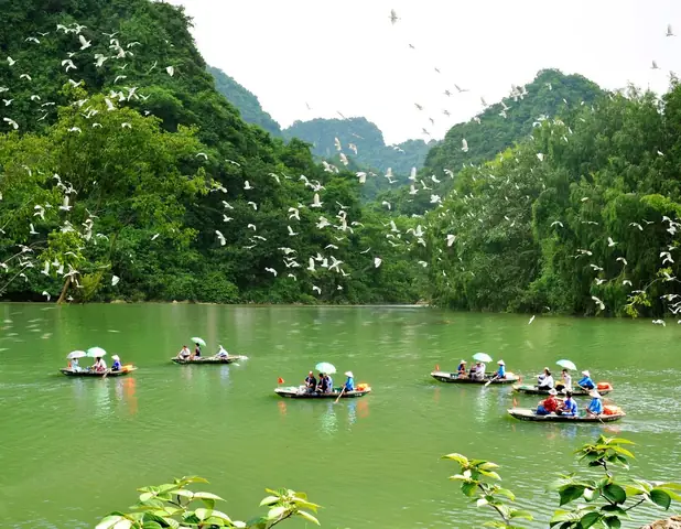 Vườn Chim Thượng Nham Ninh Bình – Hướng Dẫn Chi Tiết Khám Phá Thiên Đường Chim Hoang Dã Vườn Chim Thượng Nham Ninh Bình – Hướng Dẫn Chi Tiết Khám Phá Thiên Đường Chim Hoang Dã