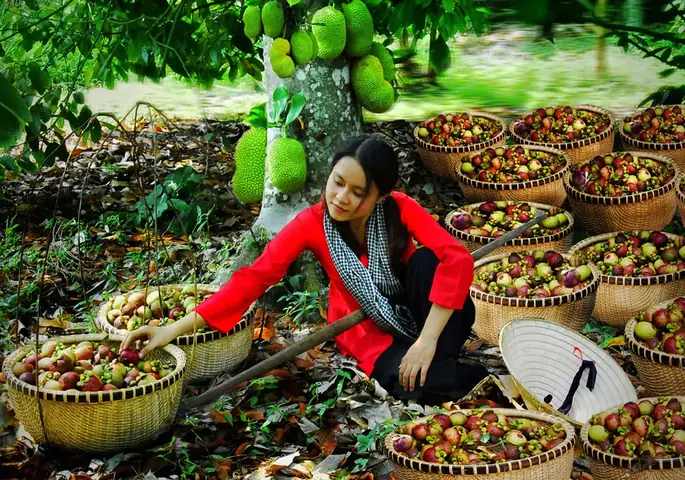 Vườn Trái Cây Lái Thiêu Bình Dương: Hướng Dẫn Chi Tiết Về Cách Chọn, Trồng Và Chăm Sóc Vườn Trái Cây Lái Thiêu Bình Dương: Hướng Dẫn Chi Tiết Về Cách Chọn, Trồng Và Chăm Sóc