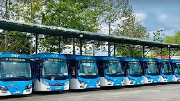 Xe Võ Cúc Phương Đồng Nai Là Gì? Giải Thích Chi Tiết
