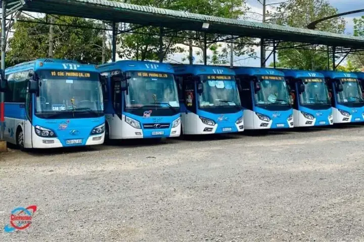 Xe Võ Cúc Phương Đồng Nai Là Gì? Giải Thích Chi Tiết