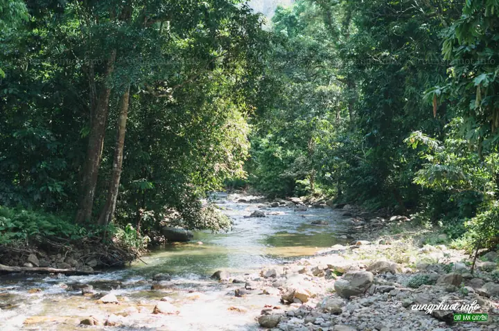Xuân Sơn – Tân Sơn (phú Thọ): Giới Thiệu Tổng Quan Và Những Điểm Đáng Chú Ý