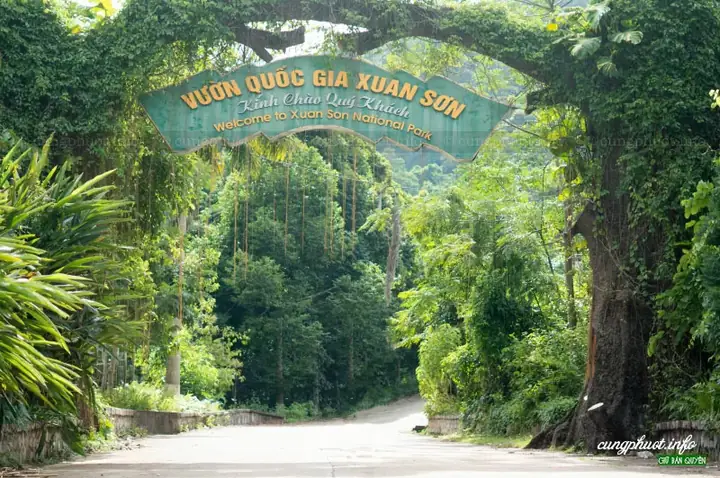 Xuân Sơn – Tân Sơn (phú Thọ): Giới Thiệu Tổng Quan Và Những Điểm Đáng Chú Ý