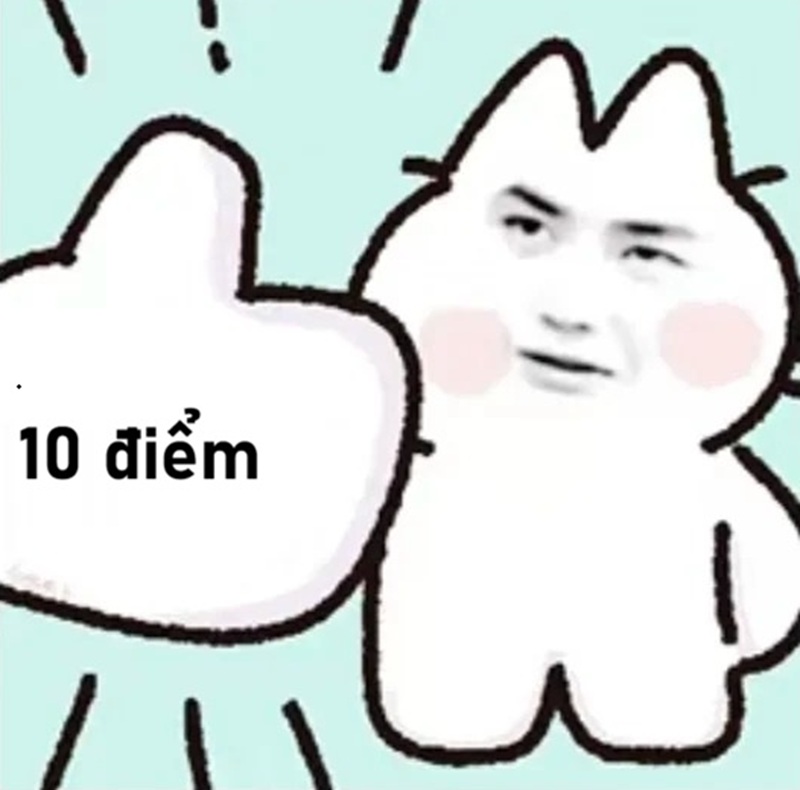 10 điểm meme 10