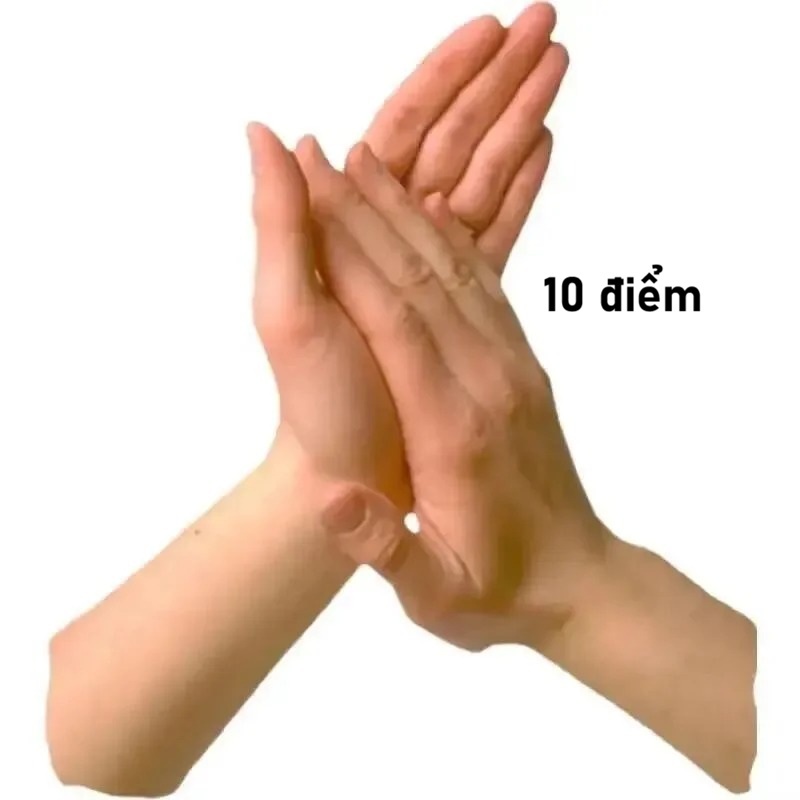 10 điểm meme 13