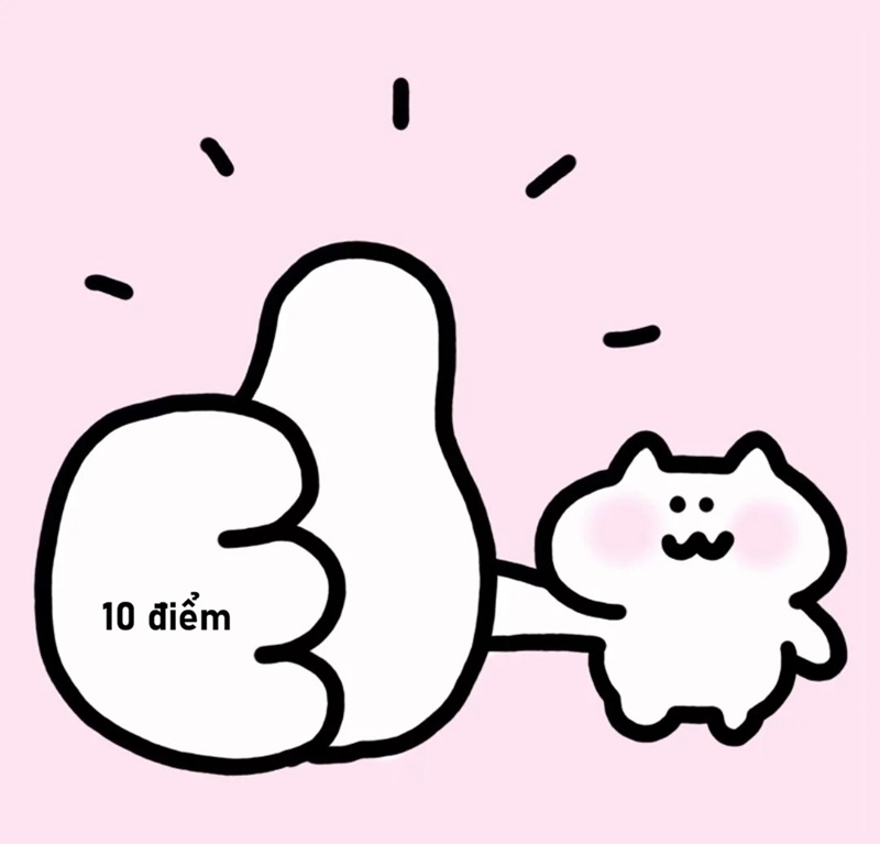 10 điểm meme 15
