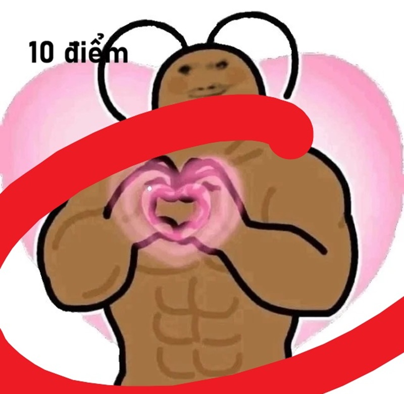 10 điểm meme 25