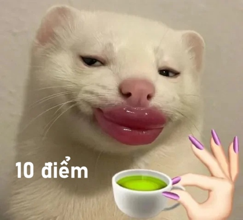 10 điểm meme 35