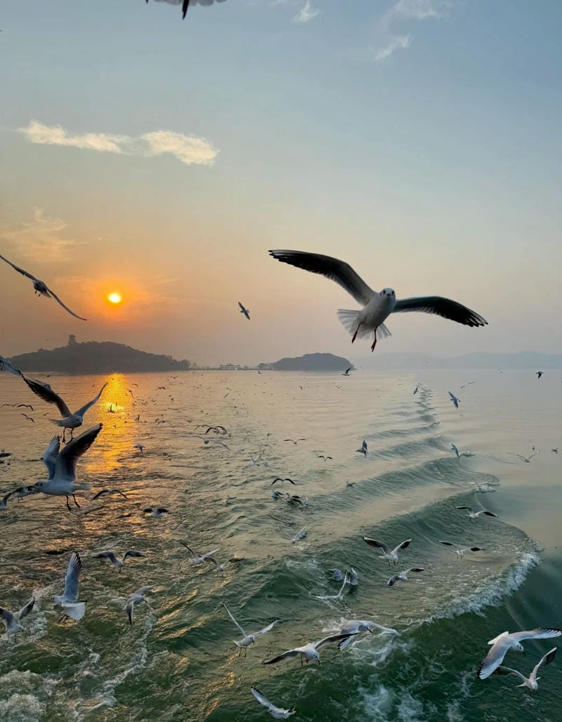 ảnh bầu trời hoàng hôn 26