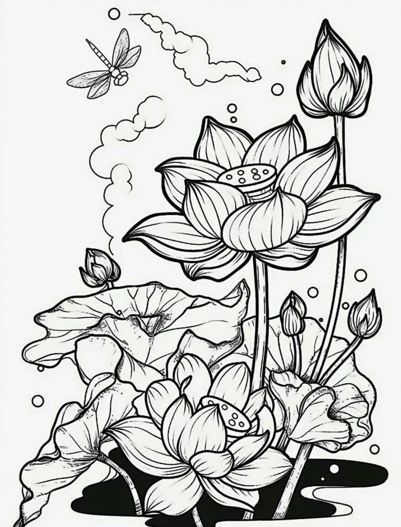 ảnh bông sen đen 19