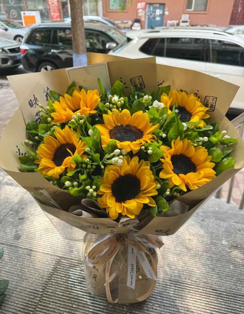 ảnh hoa hướng dương 21