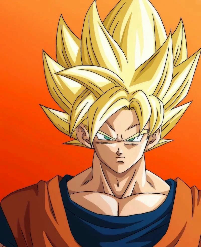 ảnh songoku 41