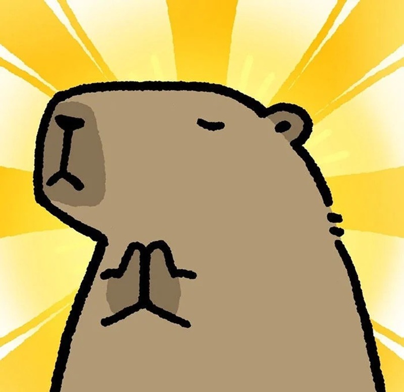 capybara meme 10