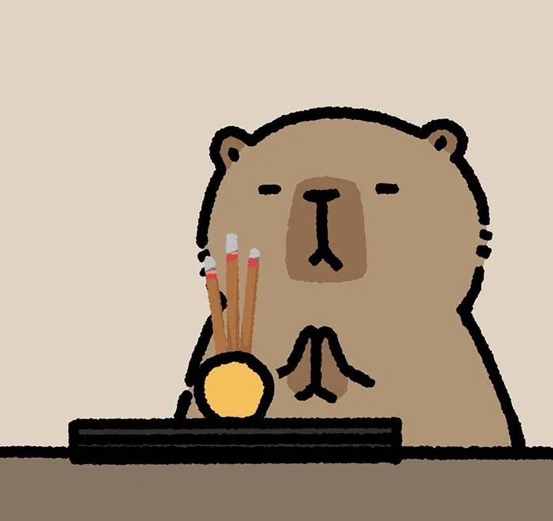 capybara meme 12
